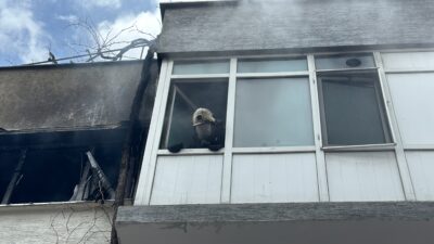 Bursa’da yangında can pazarı