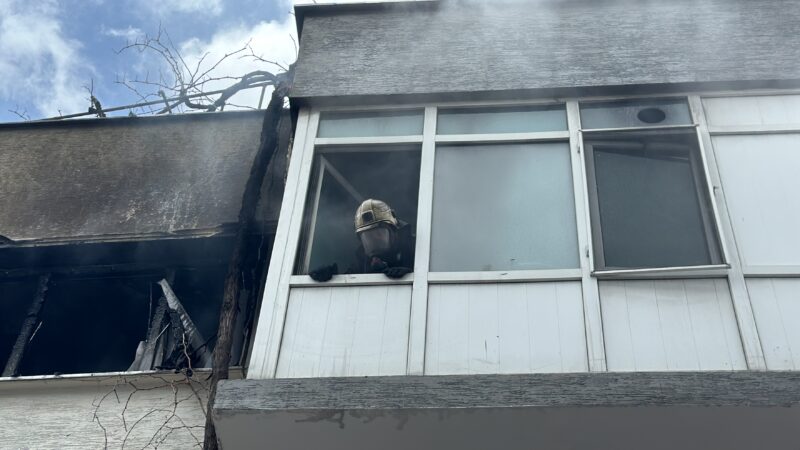 Bursa'nın Osmangazi ilçesindeki bir evde çıkan yangında anne ve oğlu