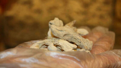 Birçok hastalığa iyi geliyor! Uzmanlar tavsiye ediliyor…