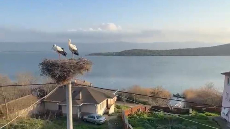 Yaren’den sonra o da geldi