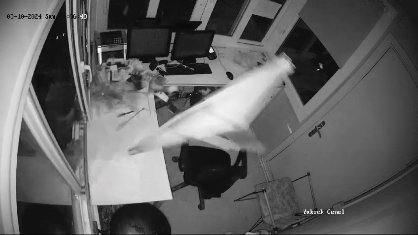 Bursa’da ayılar güvenlik kulübesini bastı