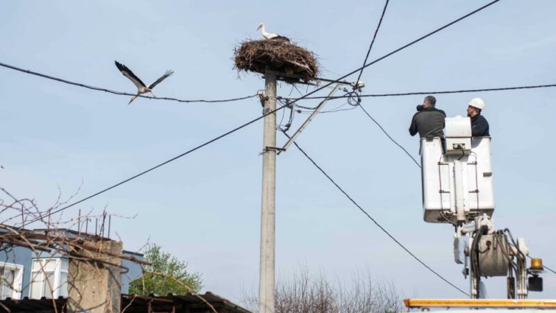 Yaren leyleğin köyünde bahar temizliği Eskikaraağaç Leylek Köyü’nde geleneksel bahar temizliği bu yıl da yapıldı.
