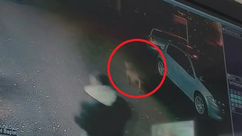 Bursa’da dehşet! Cami avlusunda oynayan çocuklara…