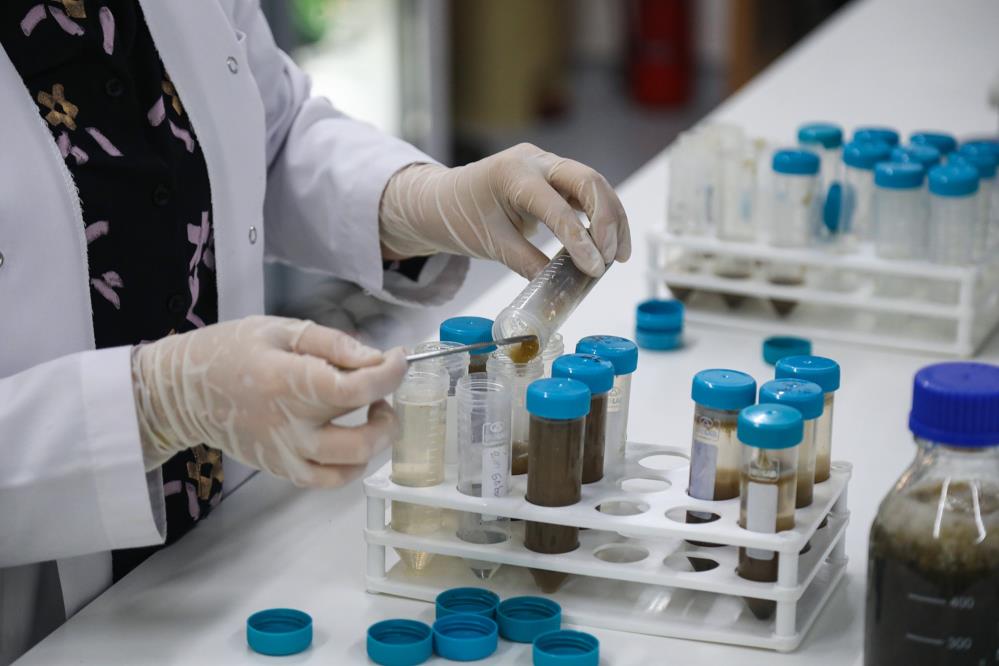 BTÜ’den büyük başarı BTÜ’den büyük başarı