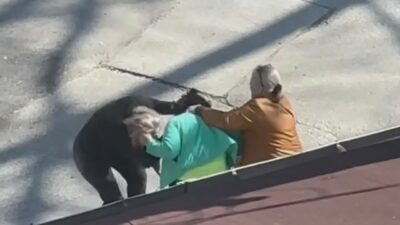 Bursa’da kadınlar saç saça birbirlerine girdi