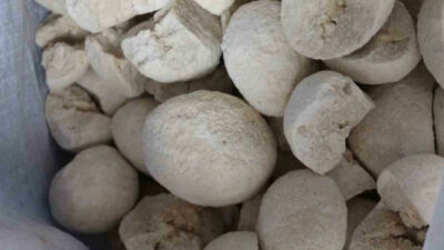 Şifa kaynağı! Tansiyon, şeker, kalp hastalıklarına…