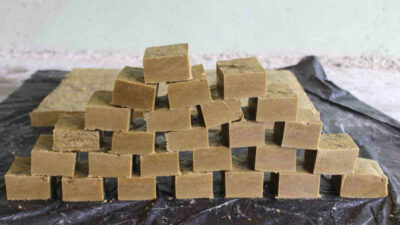 Cilt sorunlarının dermanı onda! Egzama, kepek başta olmak üzere…