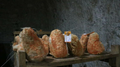 Taleplere yetişemiyorlar! Yurt dışından ilgi…