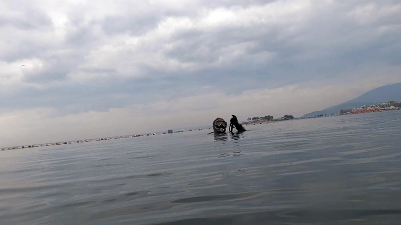 Marmara’da korkutan tablo