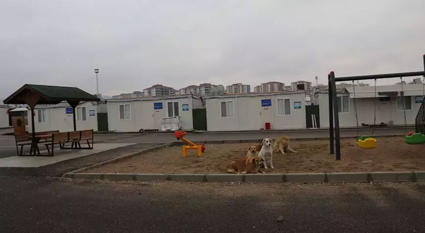 Konteyner kentte kaybolan kız çocuğuna cinsel istismar!