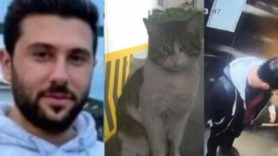 Kedi Eros’u öldüren İbrahim Keloğlan’a verilen cezaya itiraz: “Kamusal vicdana uygun değil”