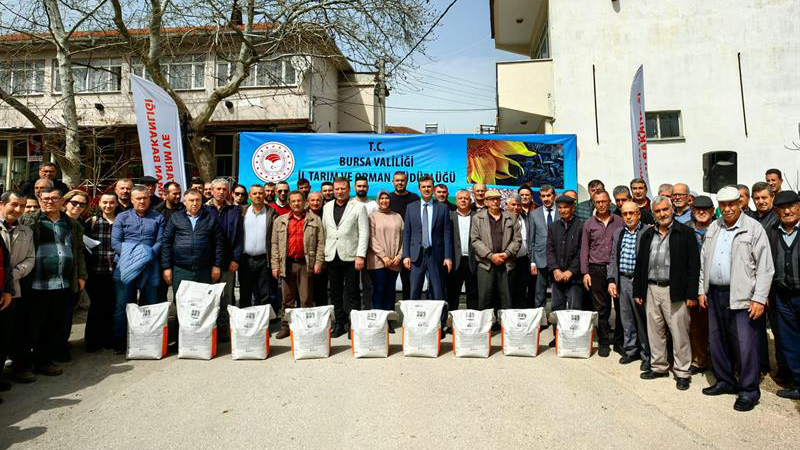 Bursa’nın bu mahallesinde çiftçiye ayçiçek tohumu dağıtıldı