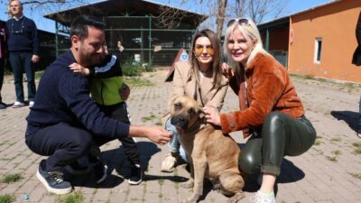 AK Parti Mudanya Adayı Gökhan Dinçer: ‘Can dostlarımız da sahipsiz kalmayacak’