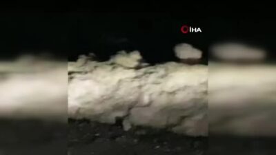 Bursa’da aç kalan tilkileri elleriyle beslediler