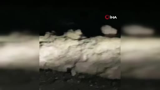 Bursa’da aç kalan tilkileri elleriyle beslediler