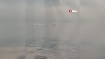 Bursa kıyılarında görsel şölen