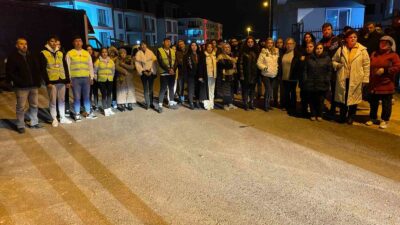 Bursa’da kedi katliamı! Anne kedinin kuyruğunu kesip 6 yavrusunu…