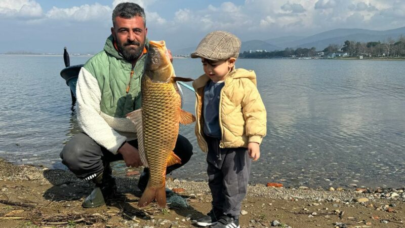Bursa’da bir günde 600 kilo balık yakalandı!