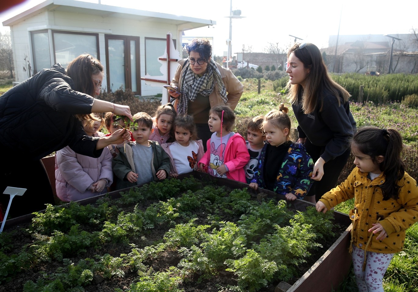 Nilüfer’de Kent Bostanları’nda uygulamalı tarım eğitimi