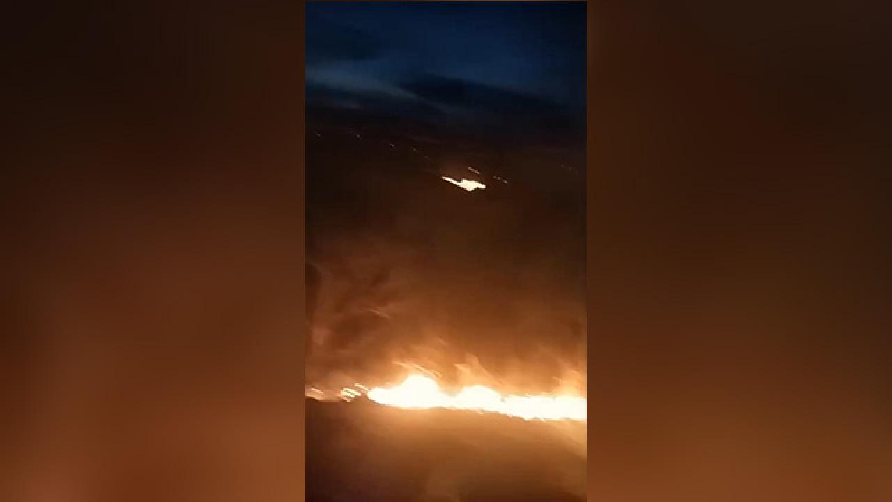 Rize’de orman yangını