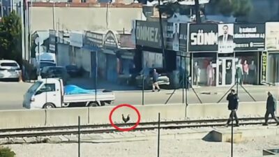Bursa’da şoke eden olay! Horoz metro raylarına çıktı