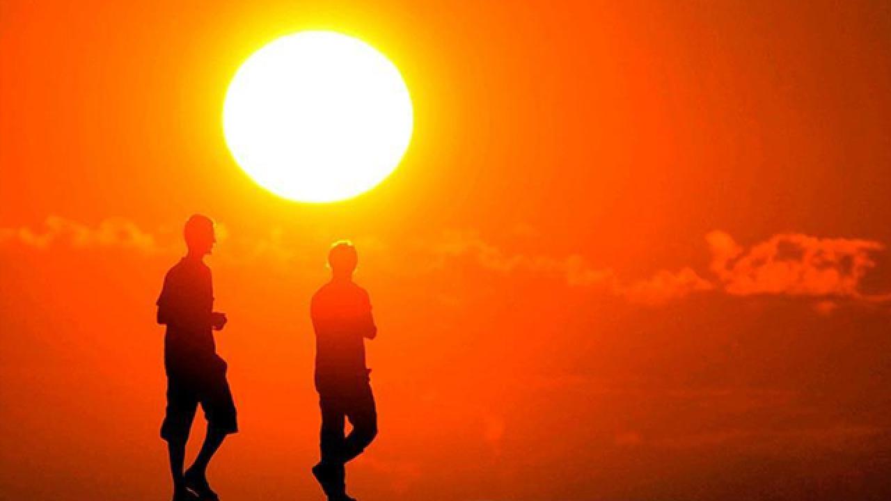 En sıcak kış geride kaldı, sırada en sıcak bahar var