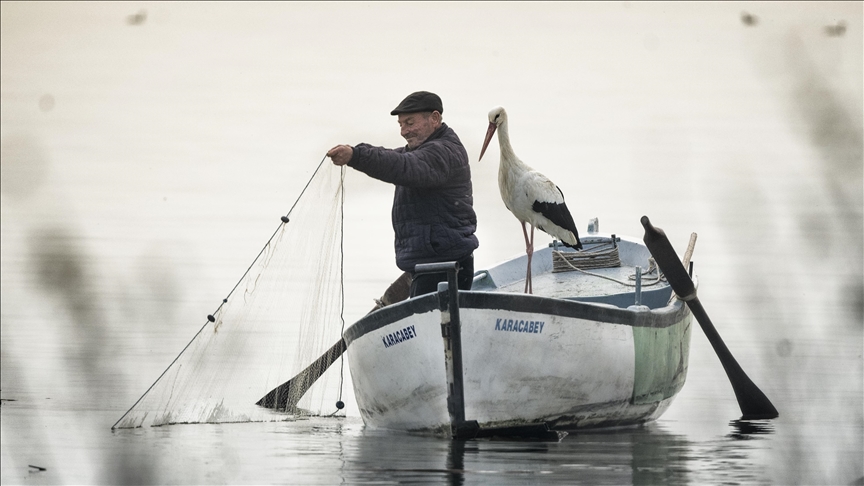 Yaren leylek ABD’nin gündeminde