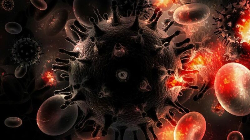 Bilim insanları, Nobel Ödülü sahibi Crispr gen düzenleme teknolojisini kullanarak