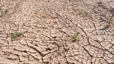 Küresel ısınmanın Türkiye’ye etkisi: ‘Mısır’a benzeyebilir’