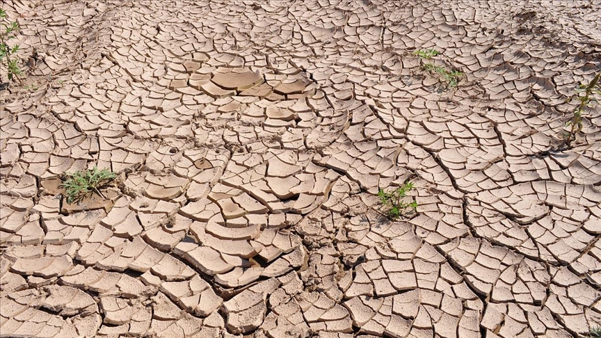 Küresel ısınmanın Türkiye’ye etkisi: ‘Mısır’a benzeyebilir’