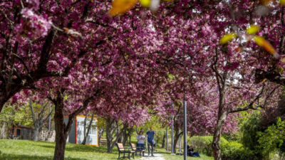 Meteoroloji uyardı! Sıcaklıklar artacak