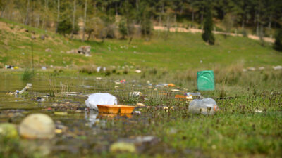 Bursa’da piknikçi rezaleti