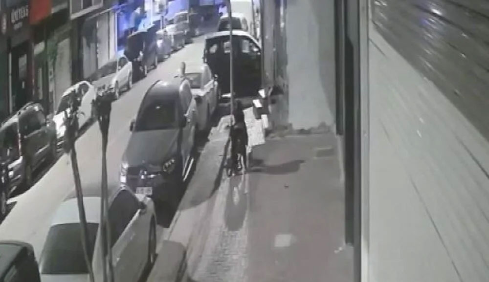 Pitbull dehşeti: Yavrularını emziren kediyi öldürdü