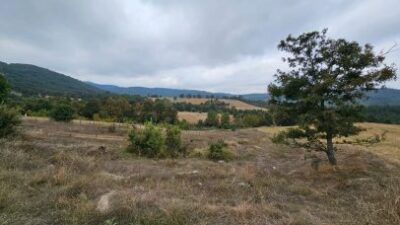 Bursa’da Doğancı Barajı yakınında açılması istenen madenle ilgili flaş karar!