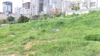 7 yaşındaki ikizlere dehşeti yaşadı: Çocuklardan birine 30 dikiş atıldı