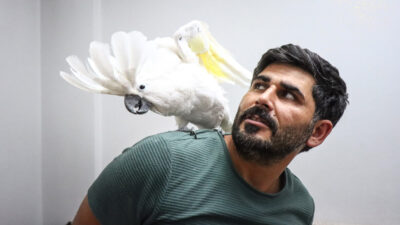 Bursa’daki bu papağana sosyal medyada yoğun ilgi