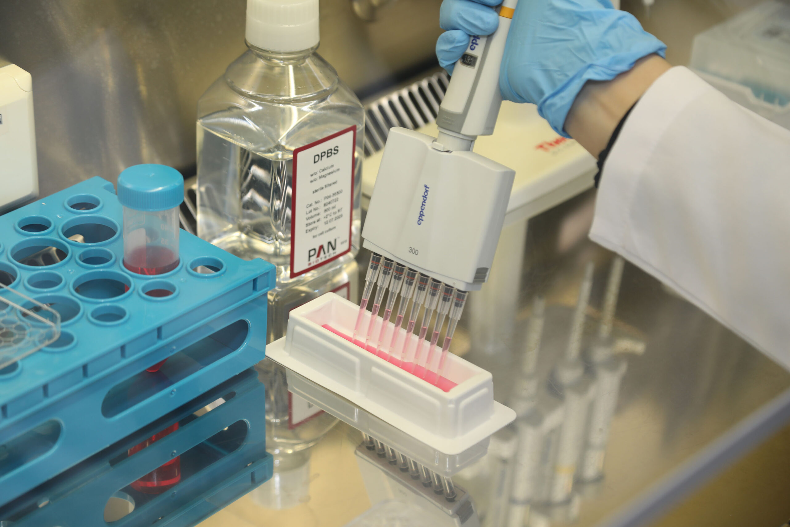 BTÜ’lü doktora öğrencisinin projesine TÜBİTAK desteği