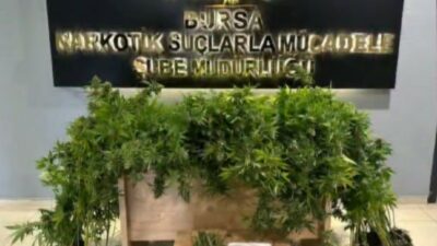 Bursa’da uyuşturucu baskını