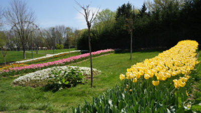 Bursa parkları rengarenk