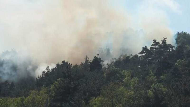 Bursa’da orman yangını! Yürekler ağza geldi Bursa’da orman yangını! Yürekler ağza geldi