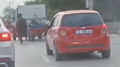 Bursa’da atlara eziyet kamerada: Kamyonetin arkasına bağladığı 4 atı böyle götürdü