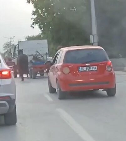 Bursa’da atlara eziyet kamerada: Kamyonetin arkasına bağladığı 4 atı böyle götürdü