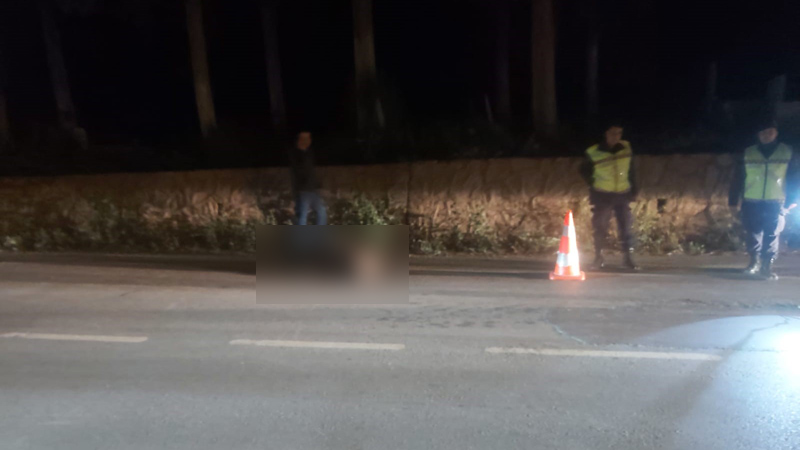 Bursa’da TIR domuza çarptı