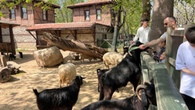 Bursalılar bayramda buraya akın etti! Her gün en az 12 bin kişi…