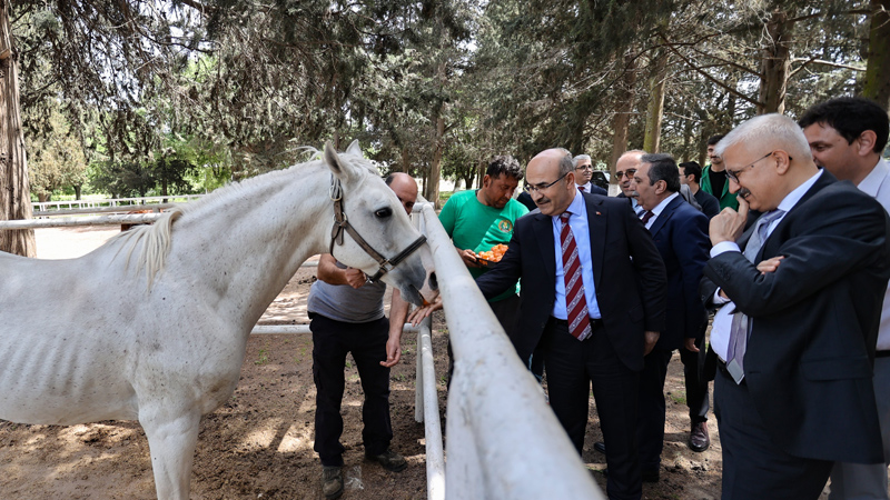 Bursa Valisi Demirtaş’tan Karacabey TİGEM’e ziyaret