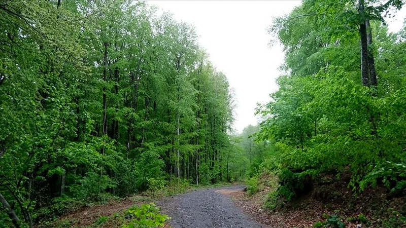 Sakin tatil arayanların tercihi! Doğası, tarihi ve özgün mutfağıyla öne çıkıyor