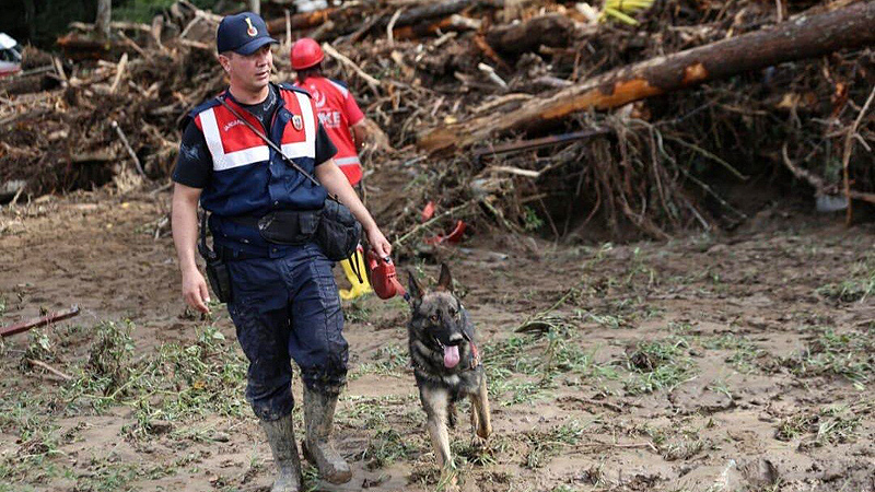 Bursa’dan götürüldü! Korhan Berzeg’in izini arıyor