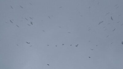 Görüntüler Bursa’dan… Gökyüzünde görsel şölen