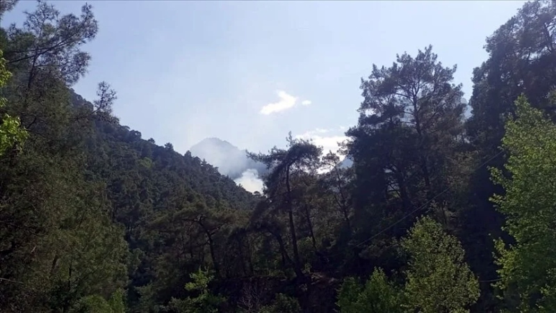 Antalya’da orman yangını! Kontrol altına alındı