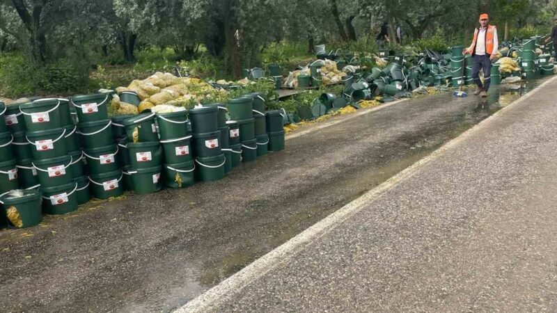 Bursa’da korkutan kaza! Bursa’da turşu yüklü tır, sürücüsünün kontrolünden çıkarak devrildi.